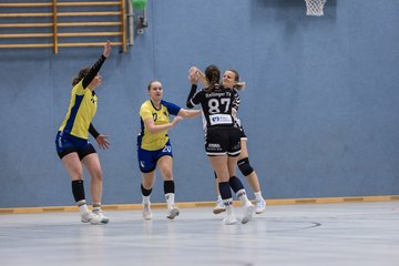 Bild 14 - F HSG Pinnau2 - Rellinger TV2 : Ergebnis: 27:20
